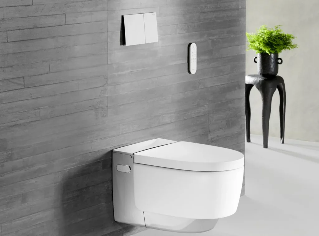 WC lavant Geberit lannion